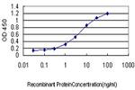 PTK2 Antibody in ELISA (ELISA)