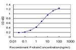 PTK9 Antibody in ELISA (ELISA)