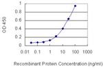 PTPRO Antibody in ELISA (ELISA)