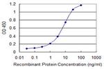 QDPR Antibody in ELISA (ELISA)