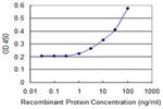 RAC2 Antibody in ELISA (ELISA)