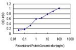 RARB Antibody in ELISA (ELISA)