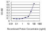 RASA1 Antibody in ELISA (ELISA)