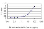 RBP4 Antibody in ELISA (ELISA)