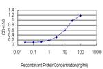 RBP4 Antibody in ELISA (ELISA)