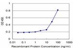 RBP4 Antibody in ELISA (ELISA)