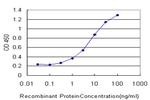 GRK1 Antibody in ELISA (ELISA)