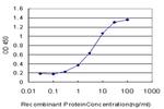 RLBP1 Antibody in ELISA (ELISA)