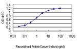 ROBO1 Antibody in ELISA (ELISA)