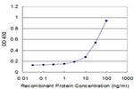 RPS3 Antibody in ELISA (ELISA)