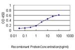 S100A1 Antibody in ELISA (ELISA)