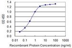 S100B Antibody in ELISA (ELISA)