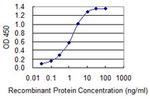 S100B Antibody in ELISA (ELISA)