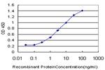 CCL15 Antibody in ELISA (ELISA)