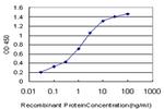 CCL15 Antibody in ELISA (ELISA)