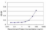 CXCL11 Antibody in ELISA (ELISA)