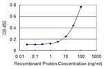 SDC2 Antibody in ELISA (ELISA)