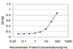 CXCL12 Antibody in ELISA (ELISA)