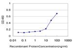 CXCL12 Antibody in ELISA (ELISA)