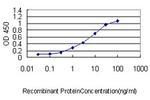 SH3BGRL Antibody in ELISA (ELISA)