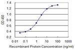 SI Antibody in ELISA (ELISA)