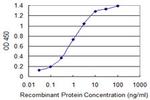 SIAH1 Antibody in ELISA (ELISA)