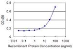 SLC2A4 Antibody in ELISA (ELISA)