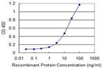 SLC2A4 Antibody in ELISA (ELISA)