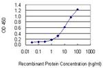 SLC22A4 Antibody in ELISA (ELISA)