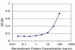 SLIT3 Antibody in ELISA (ELISA)