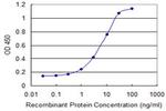 SMO Antibody in ELISA (ELISA)