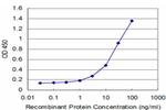 SNCB Antibody in ELISA (ELISA)