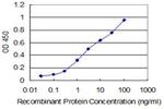 SNAPC4 Antibody in ELISA (ELISA)