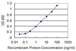 SNAPC4 Antibody in ELISA (ELISA)