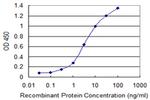 SNCA Antibody in ELISA (ELISA)