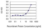 SNRPB Antibody in ELISA (ELISA)