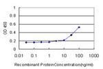 SOD3 Antibody in ELISA (ELISA)