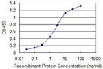 SOX4 Antibody in ELISA (ELISA)