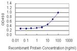 SOX5 Antibody in ELISA (ELISA)