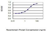 SOX9 Antibody in ELISA (ELISA)