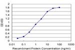 SPI1 Antibody in ELISA (ELISA)