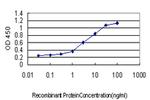 SPP1 Antibody in ELISA (ELISA)