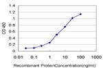 SRPK1 Antibody in ELISA (ELISA)