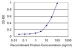 STIM1 Antibody in ELISA (ELISA)