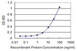 STIM1 Antibody in ELISA (ELISA)