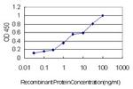 STX1A Antibody in ELISA (ELISA)