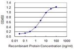 ABCC8 Antibody in ELISA (ELISA)