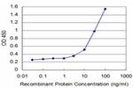 SYN1 Antibody in ELISA (ELISA)