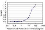 SYN1 Antibody in ELISA (ELISA)