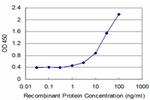 SYN1 Antibody in ELISA (ELISA)